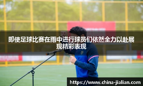 ld乐动体育app官网