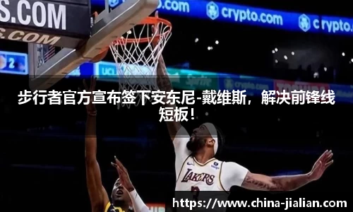 LD乐动