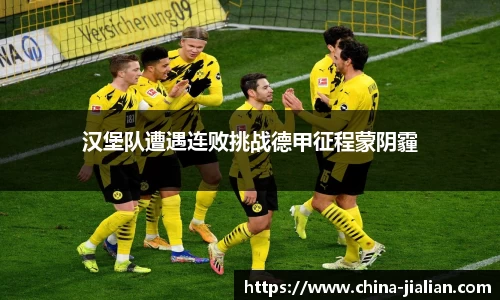 LD乐动体育