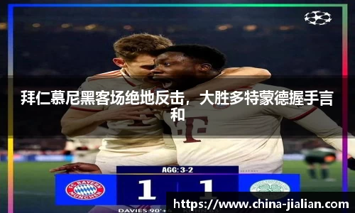 LD乐动体育