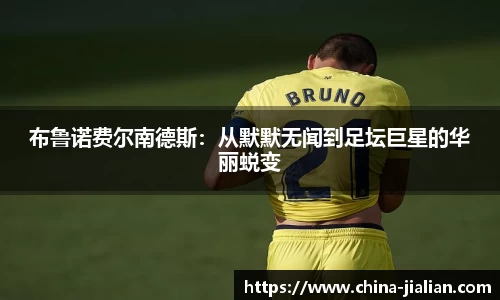 ld乐动体育app官网
