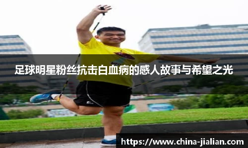 ld乐动体育app官网