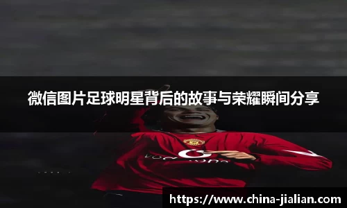 ld乐动体育app官网