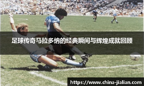 ld乐动体育app官网